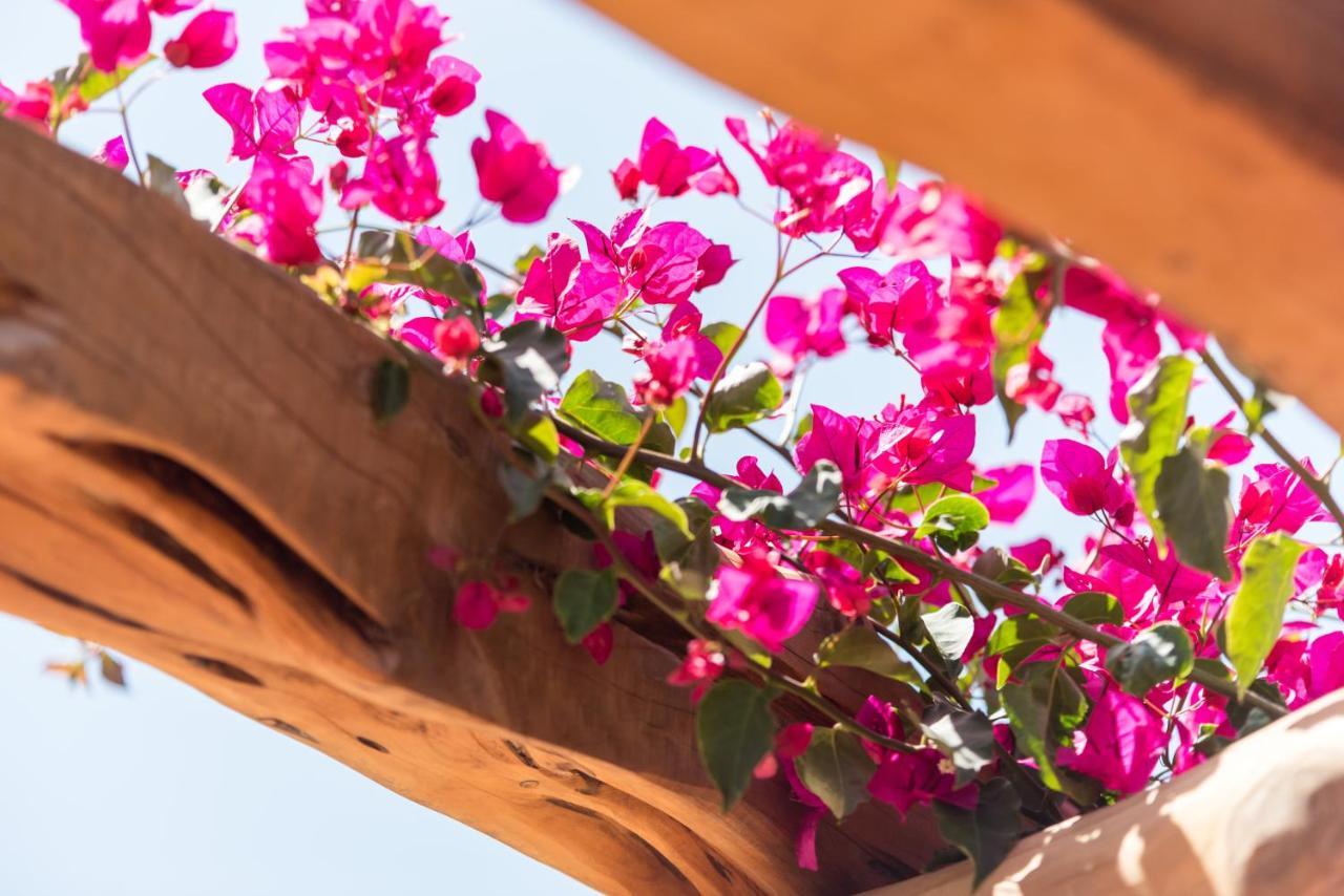 Valley Club Ibiza - Boutique Agroturismo Sant Joan De Labritja Εξωτερικό φωτογραφία