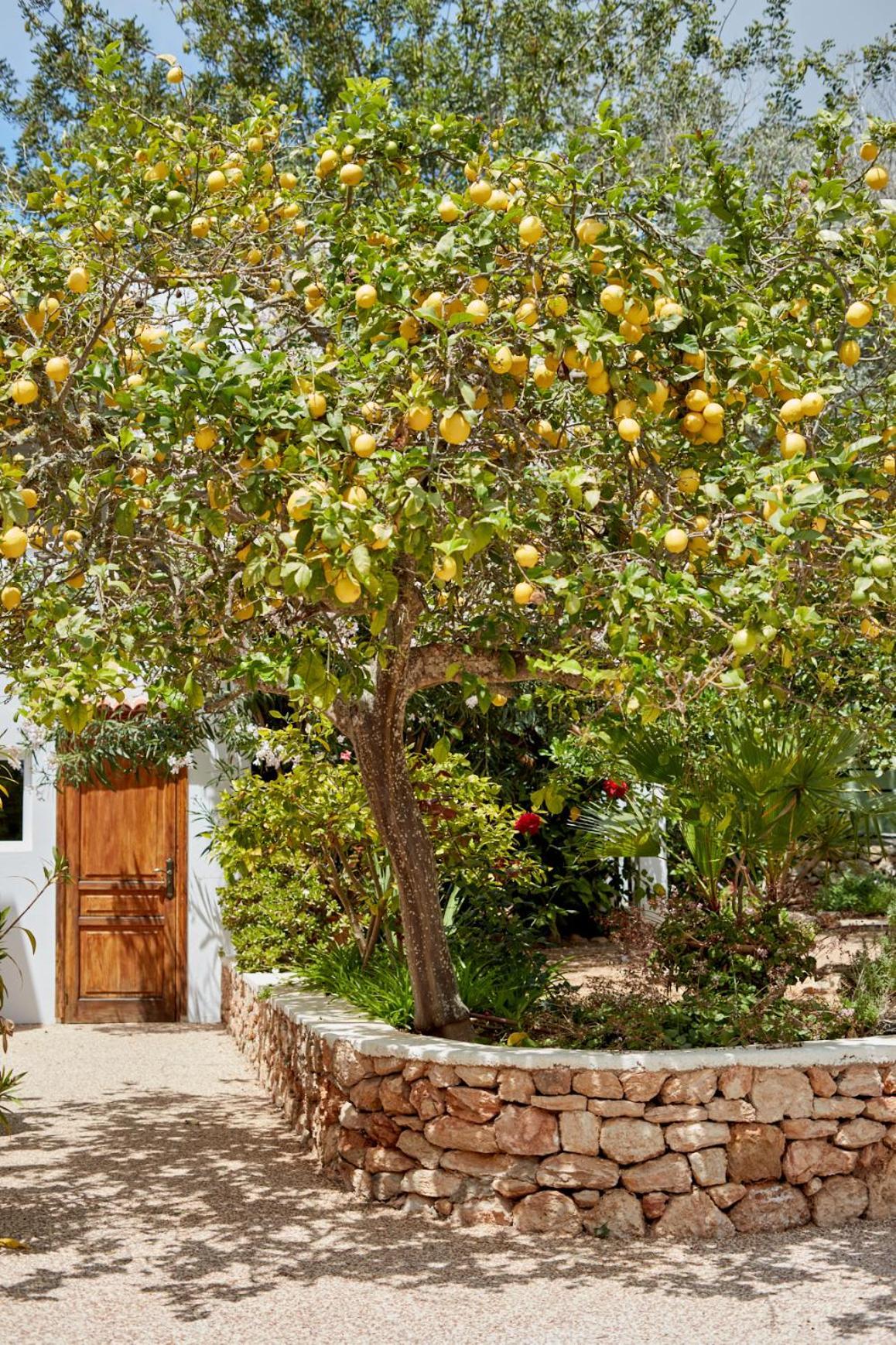 Valley Club Ibiza - Boutique Agroturismo Sant Joan De Labritja Εξωτερικό φωτογραφία