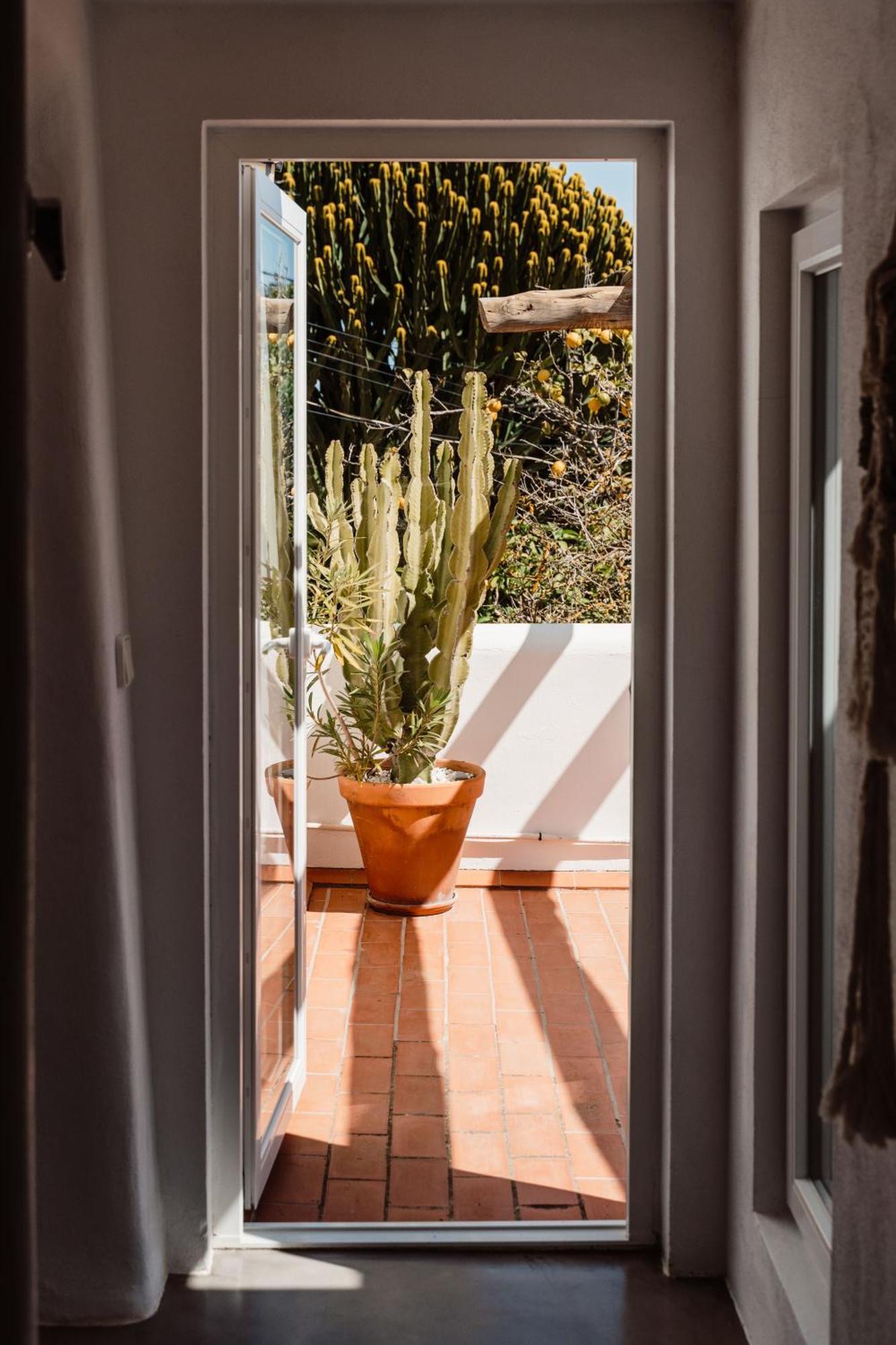Valley Club Ibiza - Boutique Agroturismo Sant Joan De Labritja Δωμάτιο φωτογραφία