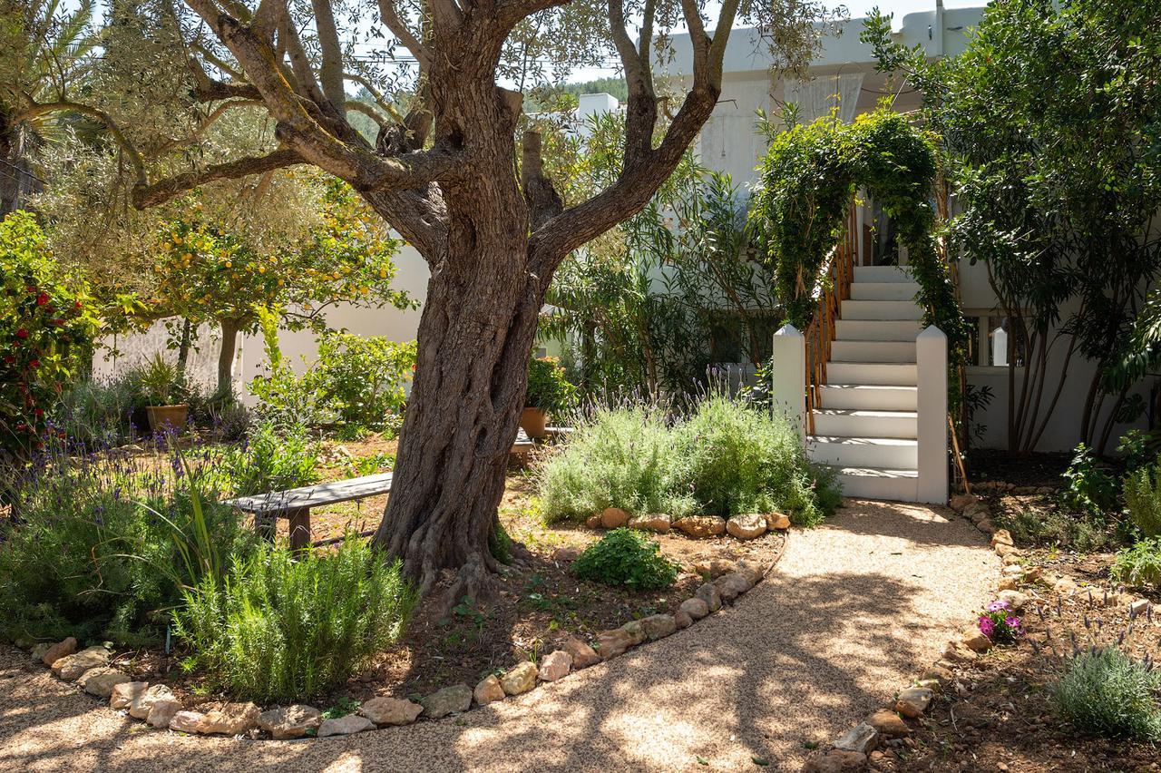 Valley Club Ibiza - Boutique Agroturismo Sant Joan De Labritja Εξωτερικό φωτογραφία